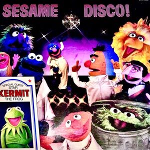 1979 SESAME DISCO 🪩 RARE 🪩 VINYL RECORD 🪩 collectible